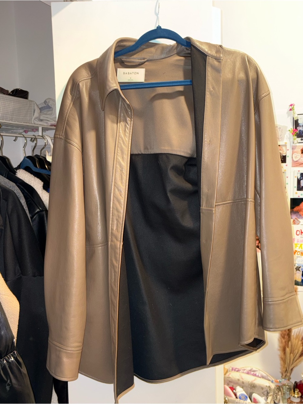 Aritzia- Babaton Brown Leather Jacket
